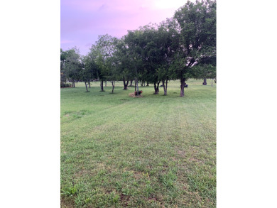 Nice Vacant Lot Ready for Your New Home - photo 1