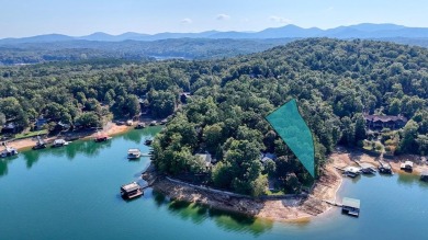 Lake Lot For Sale in Morganton, Georgia