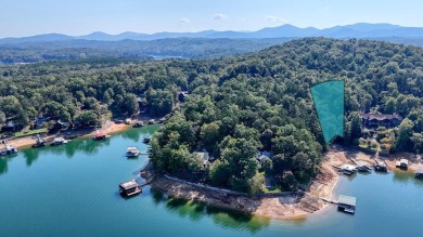 Lake Lot For Sale in Morganton, Georgia