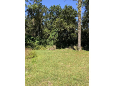 (private lake, pond, creek) Lot For Sale in Pensacola Florida