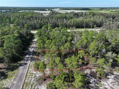 Lehigh Acres Area Lot For Sale in Lehigh Acres Florida