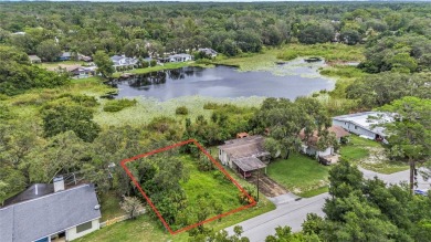 Lake Lot For Sale in New Port Richey, Florida