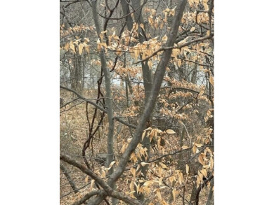 Lake Lot For Sale in Coloma, Michigan