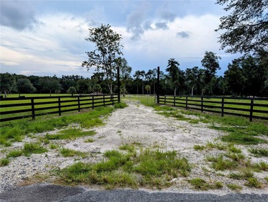 (private lake, pond, creek) Acreage For Sale in Pierson Florida