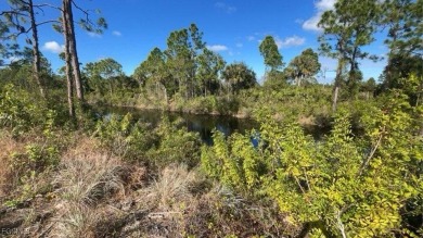 Land lot with water view at Cape Coral area - photo 2
