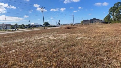 Land lot with water view at Cape Coral area - photo 3