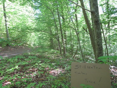 Lake Cumberland Acreage For Sale in Russell Springs Kentucky