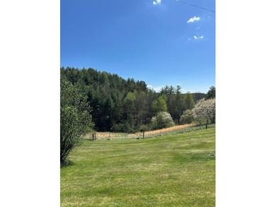 Cute Cottage on 4.59 ac with tons of potential for the buyer - photo 8