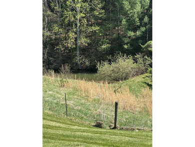 Cute Cottage on 4.59 ac with tons of potential for the buyer - photo 10