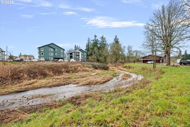 Enjoy 1.15 level acres with a creek running through it, right in - photo 11