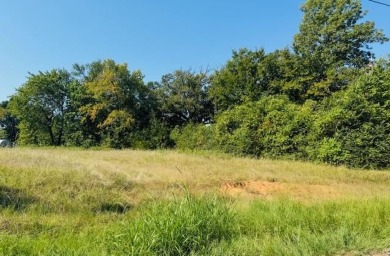 Cedar Creek Lake Lot For Sale in Gun Barrel City Texas