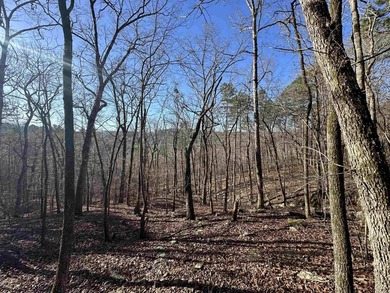 Lake Acreage For Sale in Prim, Arkansas