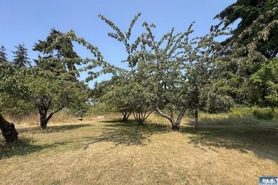Country Living with Endless Potential on 2.47 Fertile Acres - photo 46