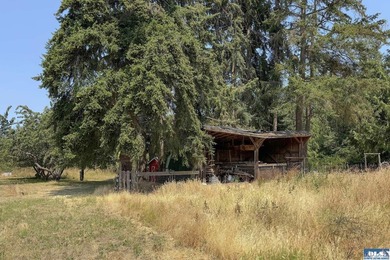 Country Living with Endless Potential on 2.47 Fertile Acres - photo 49