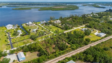 Peace River Lot Sale Pending in Punta Gorda Florida