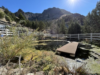 (private lake, pond, creek) Home For Sale in Mitchell Oregon