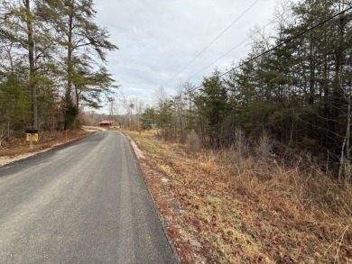 Lot for sale - photo 3