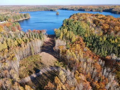 Manson Lake Acreage For Sale in Rhinelander Wisconsin