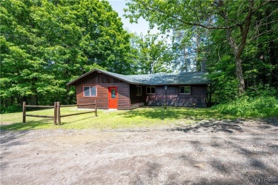 (private lake, pond, creek) Home Sale Pending in Java Center New York