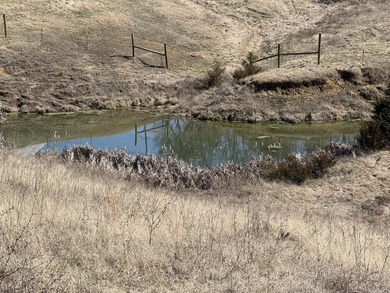 (private lake, pond, creek) Acreage Sale Pending in Bulls Gap Tennessee