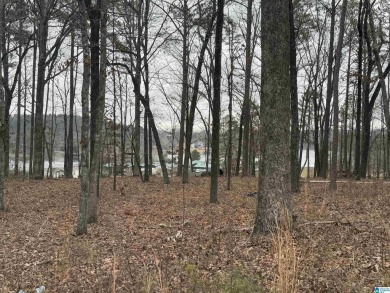 Lake Lot For Sale in Alpine, Alabama