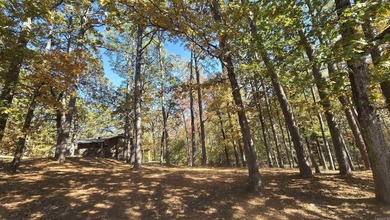 Peaceful Country Living on 2 Unrestricted Acres,One of the - photo 5
