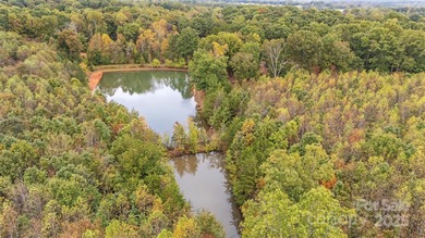 (private lake, pond, coastal) Acreage For Sale in Statesville North Carolina