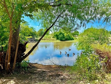 Ardmore Land Opportunity with Pond - 1.54 Acres! Unique - photo 2