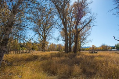 Largest remaining infill development site within close proximity - photo 7