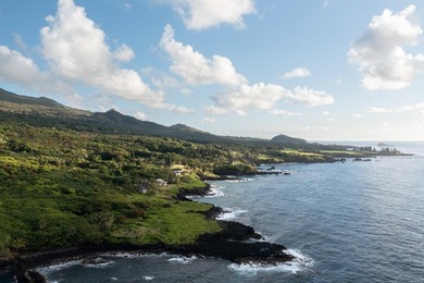 Escape to your own private paradise in the serene coastal town - photo 3