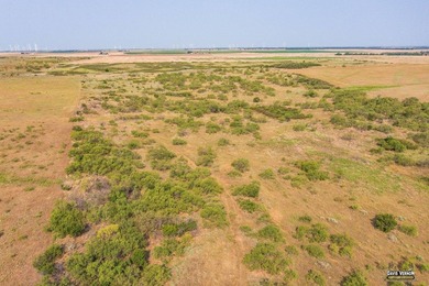 Charming Ranch Retreat at 5165 FM 2916, Vernon, TX 76384 Welcome - photo 15
