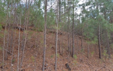 Lake Chatuge Acreage For Sale in Young Harris Georgia