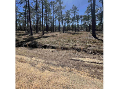 Lake Sam Rayburn  Lot For Sale in Brookeland Texas