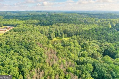 Zoned R-2, the property allows for one home per half-acre and - photo 22