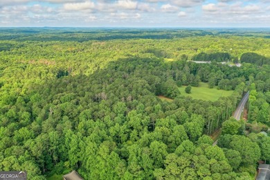 Zoned R-2, the property allows for one home per half-acre and - photo 24