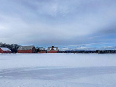 A rare and unique opportunity to own a 401 acres w/ farm - photo 36