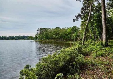 Lake Lot For Sale in Larue, Texas