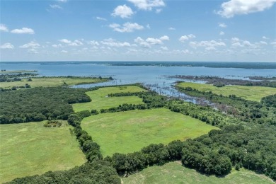 (private lake, pond, creek) Acreage For Sale in Lamasco Texas