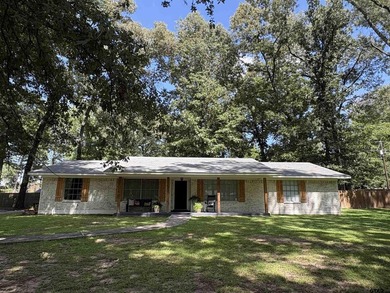 Beautifully Renovated 3-Bedroom Home on 0.75 Acres in Lone Star - photo 1