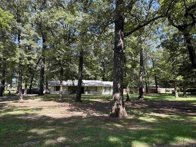 Beautifully Renovated 3-Bedroom Home on 0.75 Acres in Lone Star - photo 6
