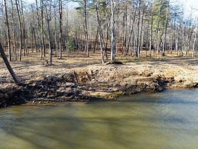 Unique Hiwassee Riverfront Opportunity - Buildable Homesite + - photo 11