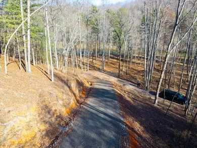 Unique Hiwassee Riverfront Opportunity - Buildable Homesite + - photo 12