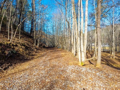 Unique Hiwassee Riverfront Opportunity - Buildable Homesite + - photo 13