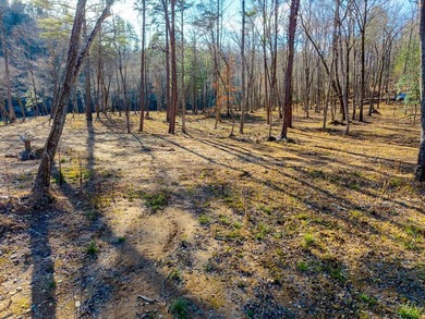 Unique Hiwassee Riverfront Opportunity - Buildable Homesite + - photo 17