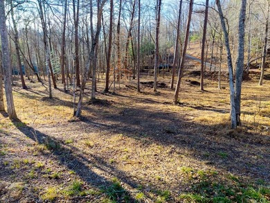 Unique Hiwassee Riverfront Opportunity - Buildable Homesite + - photo 25
