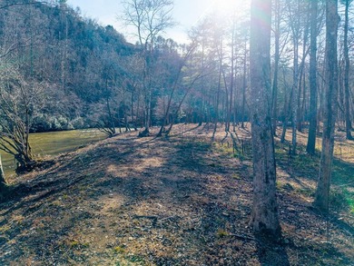 Unique Hiwassee Riverfront Opportunity - Buildable Homesite + - photo 26