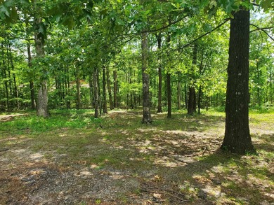 Mena Lake Lot For Sale in Mena Arkansas