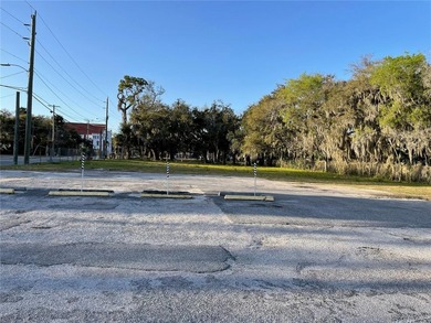 The property is Fenced in on the front and the left. A building - photo 3