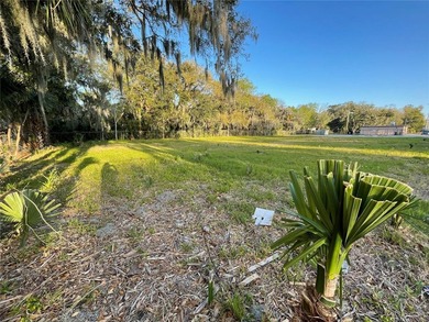 The property is Fenced in on the front and the left. A building - photo 4