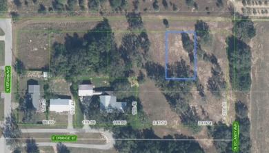 Lake Lot For Sale in Avon Park, Florida